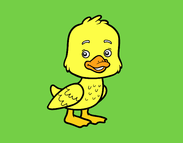 Un patito