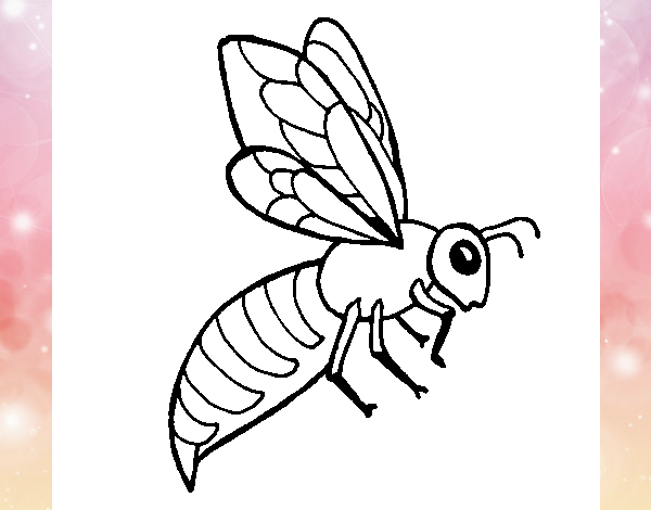 Abeja 2