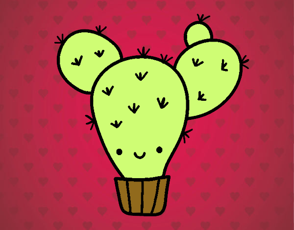 Cactus nopal