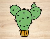 Cactus nopal