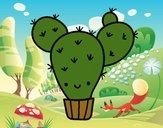 Cactus nopal