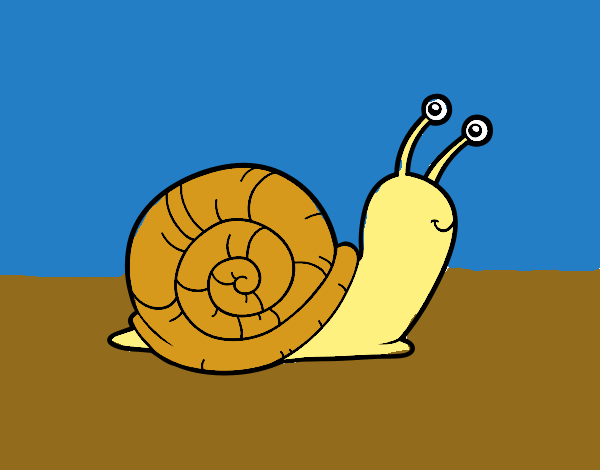 EL CARACOL