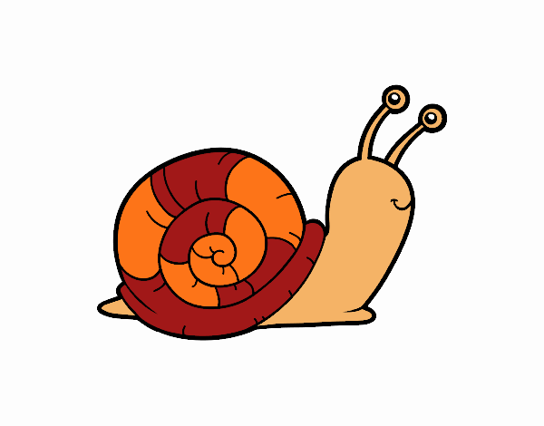 El caracol