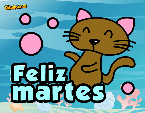 Feliz martes