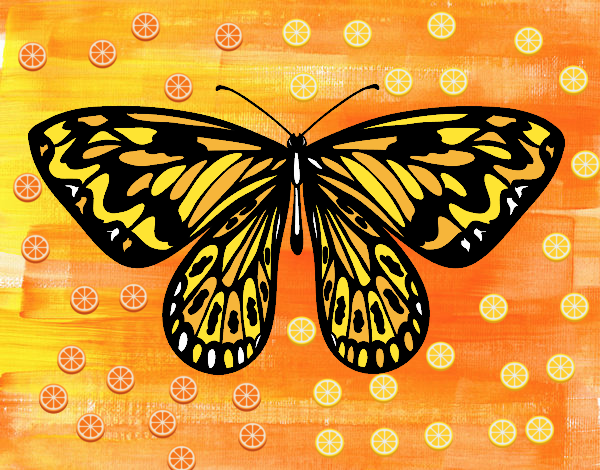 la mariposa naranja y amarillo