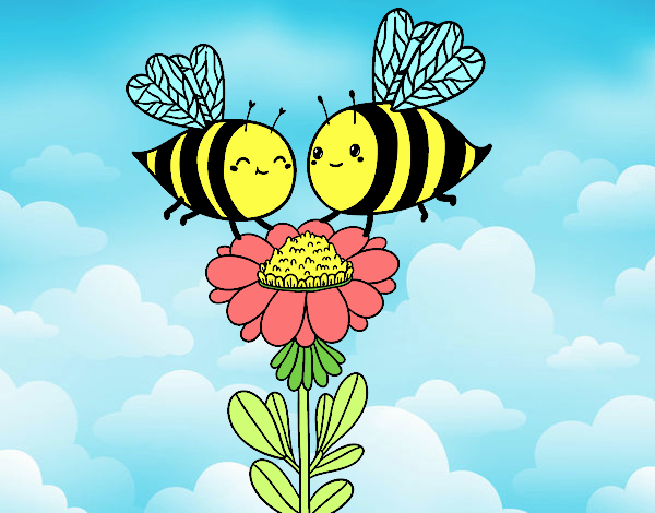 Pareja de abejas