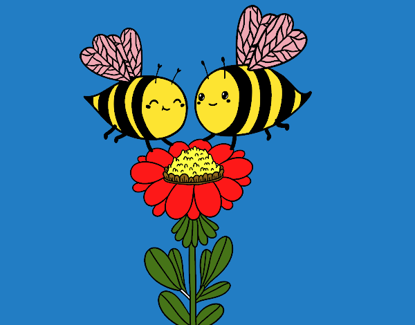 Pareja de abejas