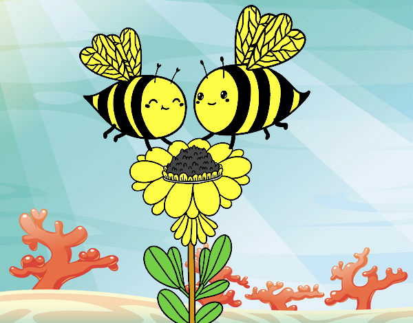 Pareja de abejas