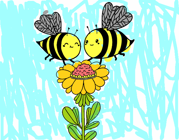 Pareja de abejas