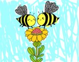 Pareja de abejas