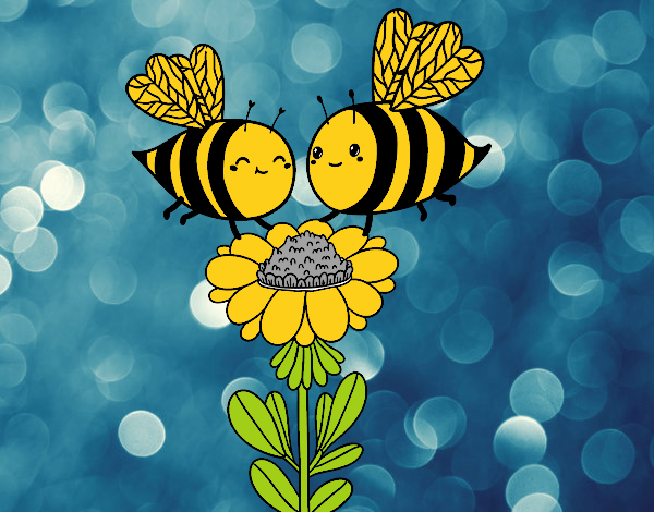 Pareja de abejas