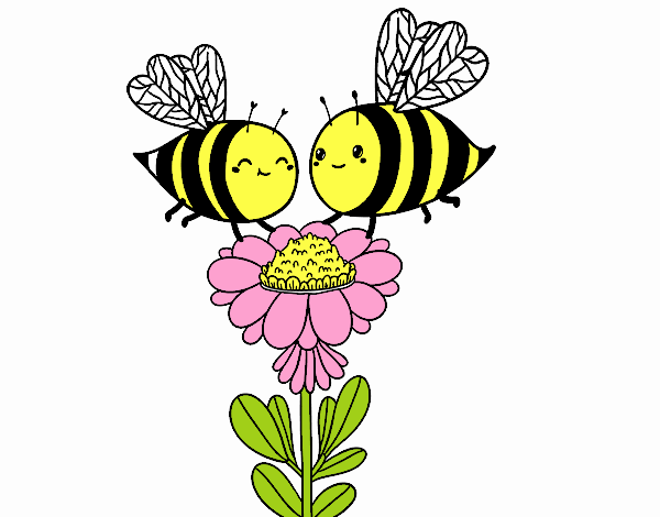 Pareja de abejas