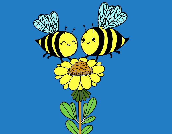 Pareja de abejas