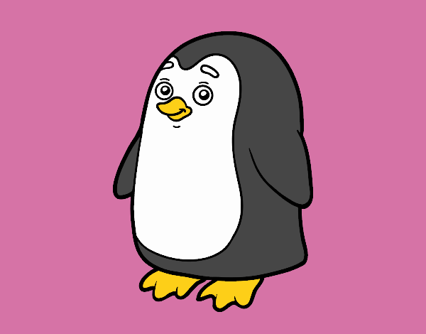 Pingüino antártico