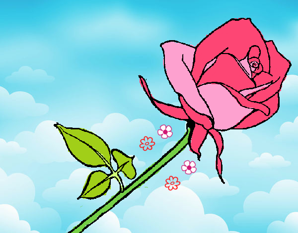 'Rose' (se pronuncia rous)