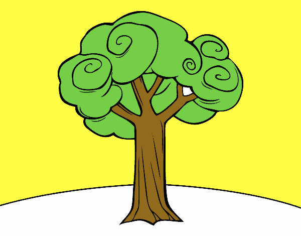 Un árbol grande