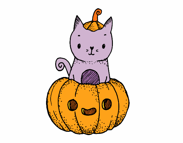 Calabaza: el gatito de halloween