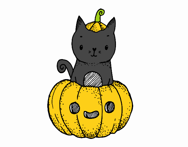 Un gatito de Halloween