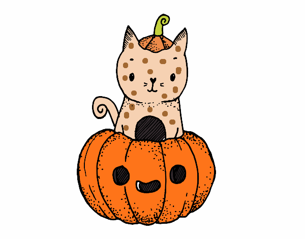 Un gatito de Halloween