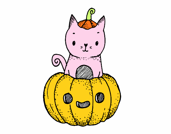 Un gatito de Halloween