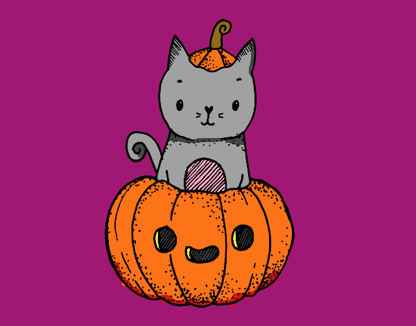 Un gatito de Halloween