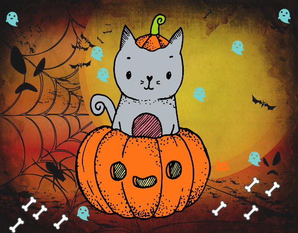 Un gatito de Halloween