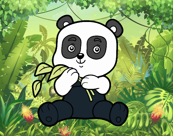 panda 