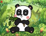 Un oso panda