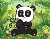 Un oso panda