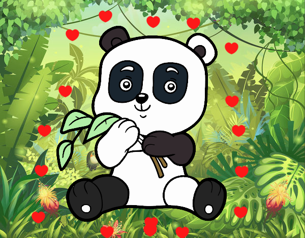 Un oso panda