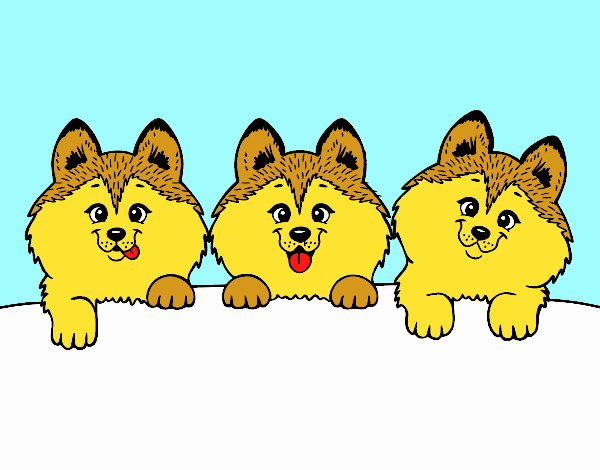 tres perros  bebes