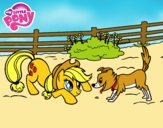 Applejack y Winona