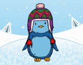 Bebé pingüino con gorrito