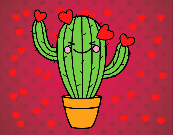 Cactus amoroso