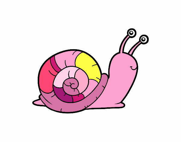 El caracol