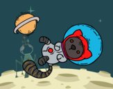 Gatito astronauta