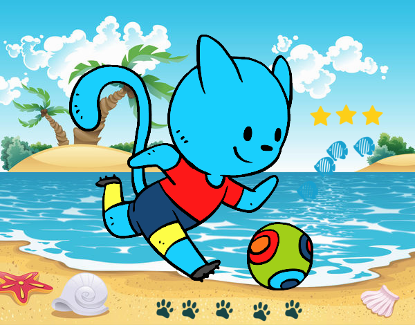 gato futbolista en la playa