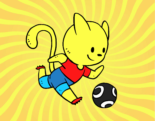 Gato jugando a fútbol