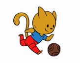 Gato jugando a fútbol