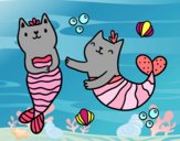 Gatos sirena