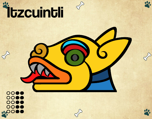 Los días aztecas: el perro Itzcuintli