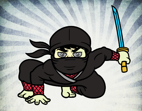 ninja loco