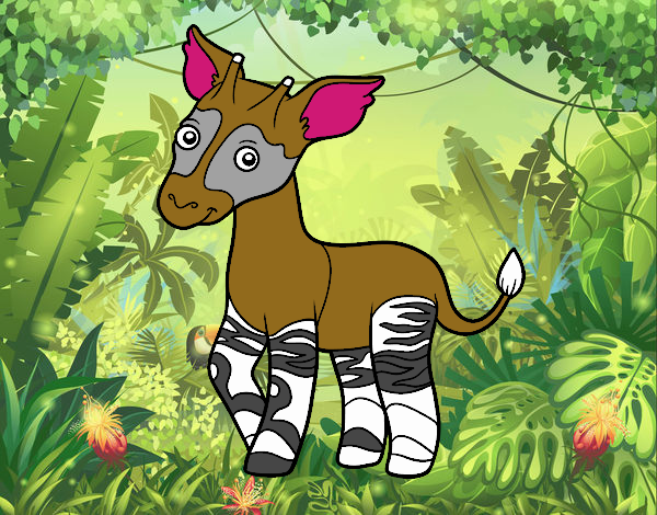 Okapi