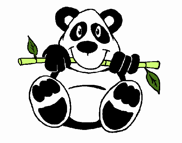 Oso panda