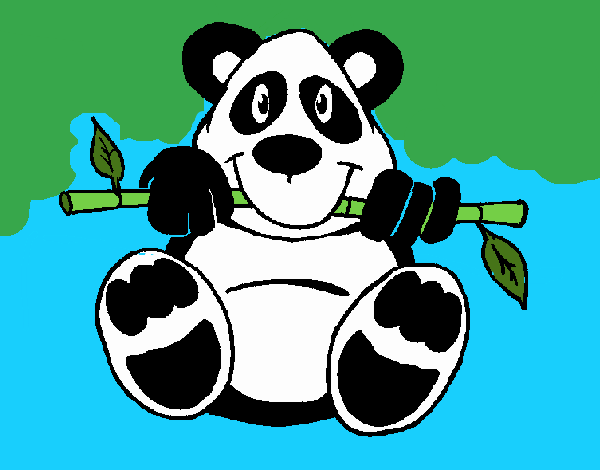 Oso panda