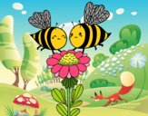 Pareja de abejas