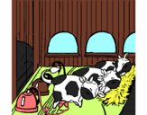 Vacas en el establo