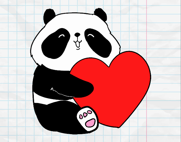 Amor Panda