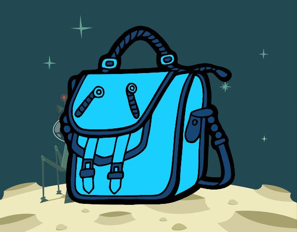 bolso de la luna