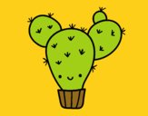 Cactus nopal